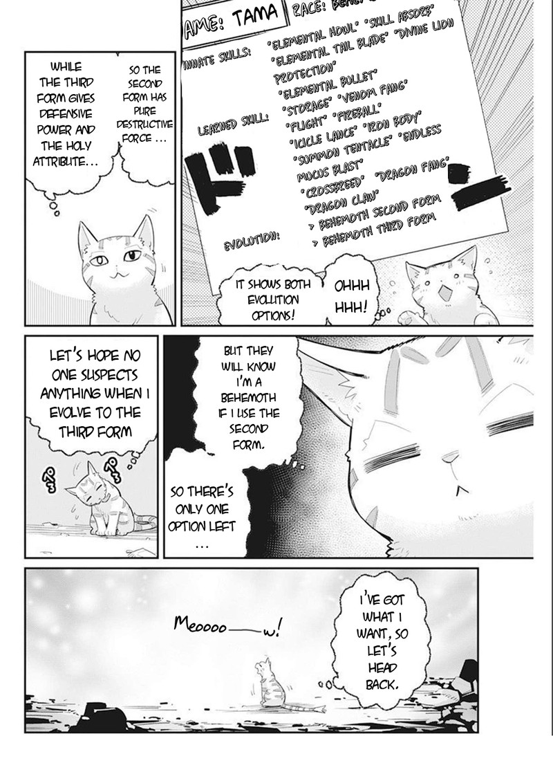 S Rank Monster No Behemoth Dakedo Neko To Machigawarete Erufu Musume No Kishi Pet Toshite Kurashitemasu 52 20