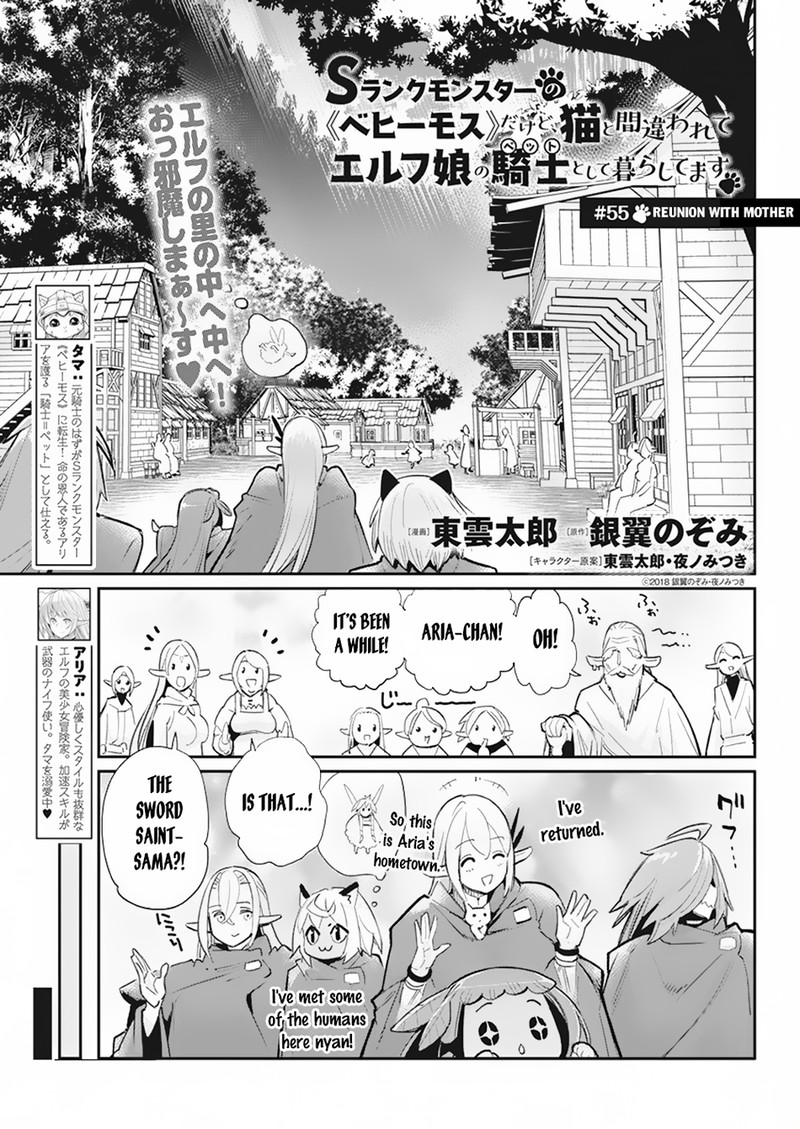 S Rank Monster No Behemoth Dakedo Neko To Machigawarete Erufu Musume No Kishi Pet Toshite Kurashitemasu 55 1