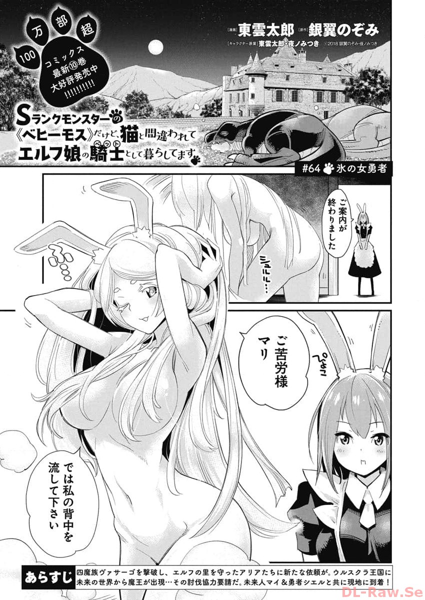S Rank Monster No Behemoth Dakedo Neko To Machigawarete Erufu Musume No Kishi Pet Toshite Kurashitemasu 64 1
