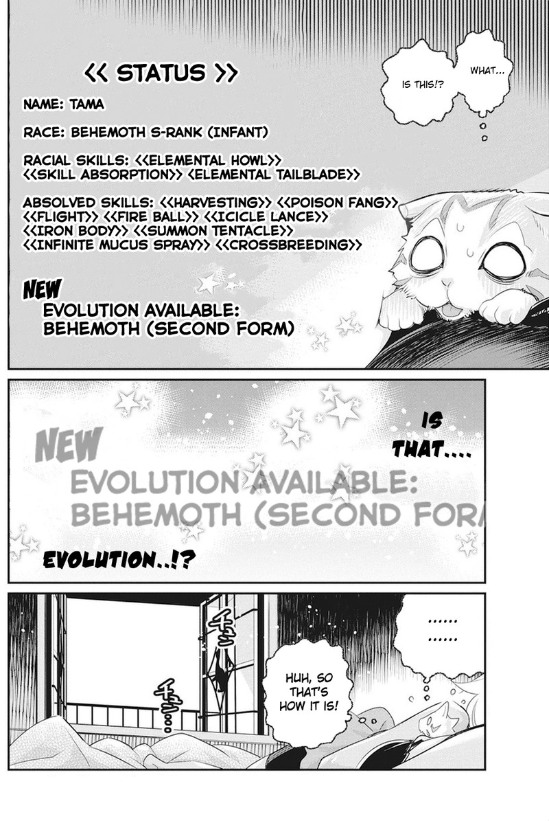 S Rank Monster No Behemoth Dakedo Neko To Machigawarete Erufu Musume No Kishi Pet Toshite Kurashitemasu 8 21