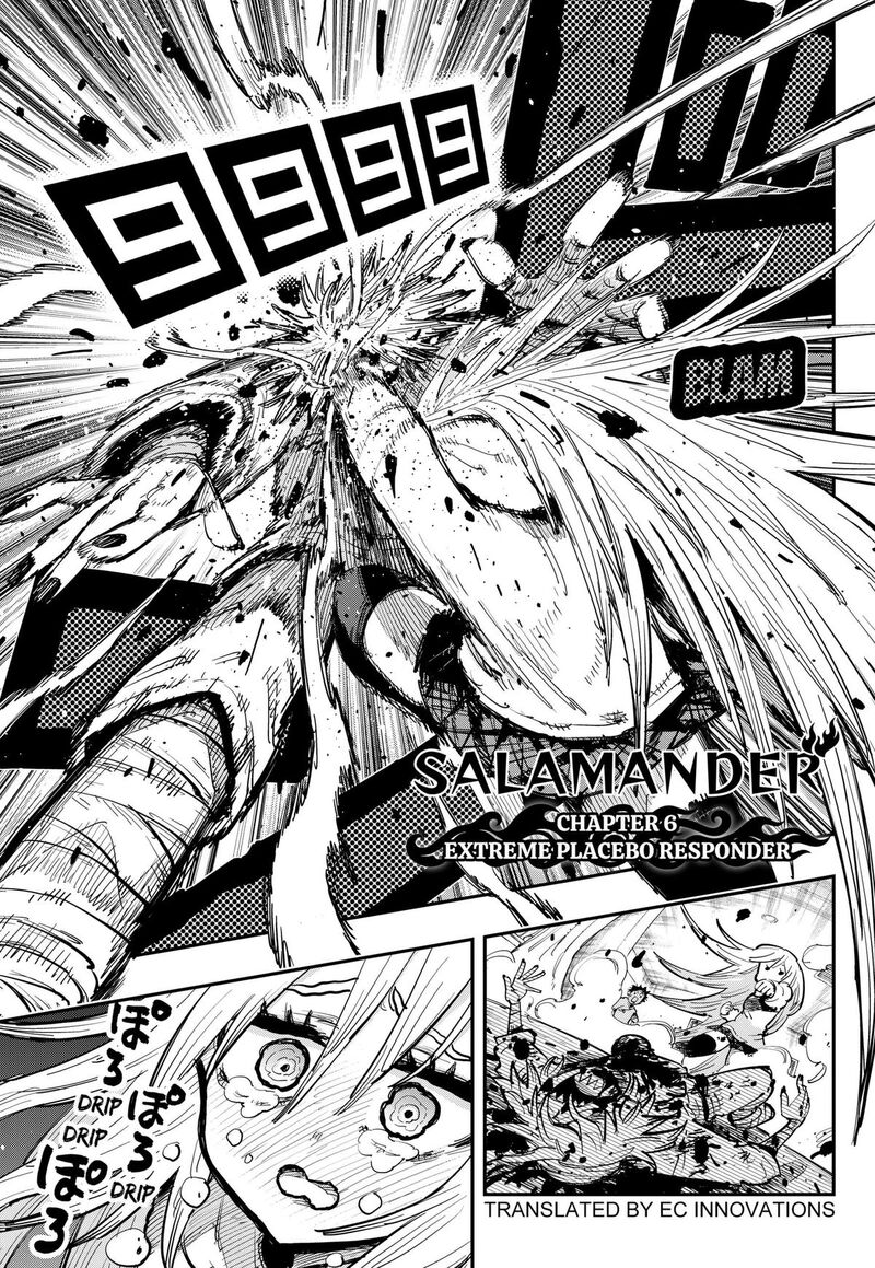 Salamander Nakayama Atsushi 6 1