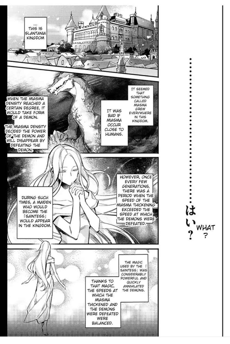 Seijo No Maryoku Wa Bannou Desu 1 8