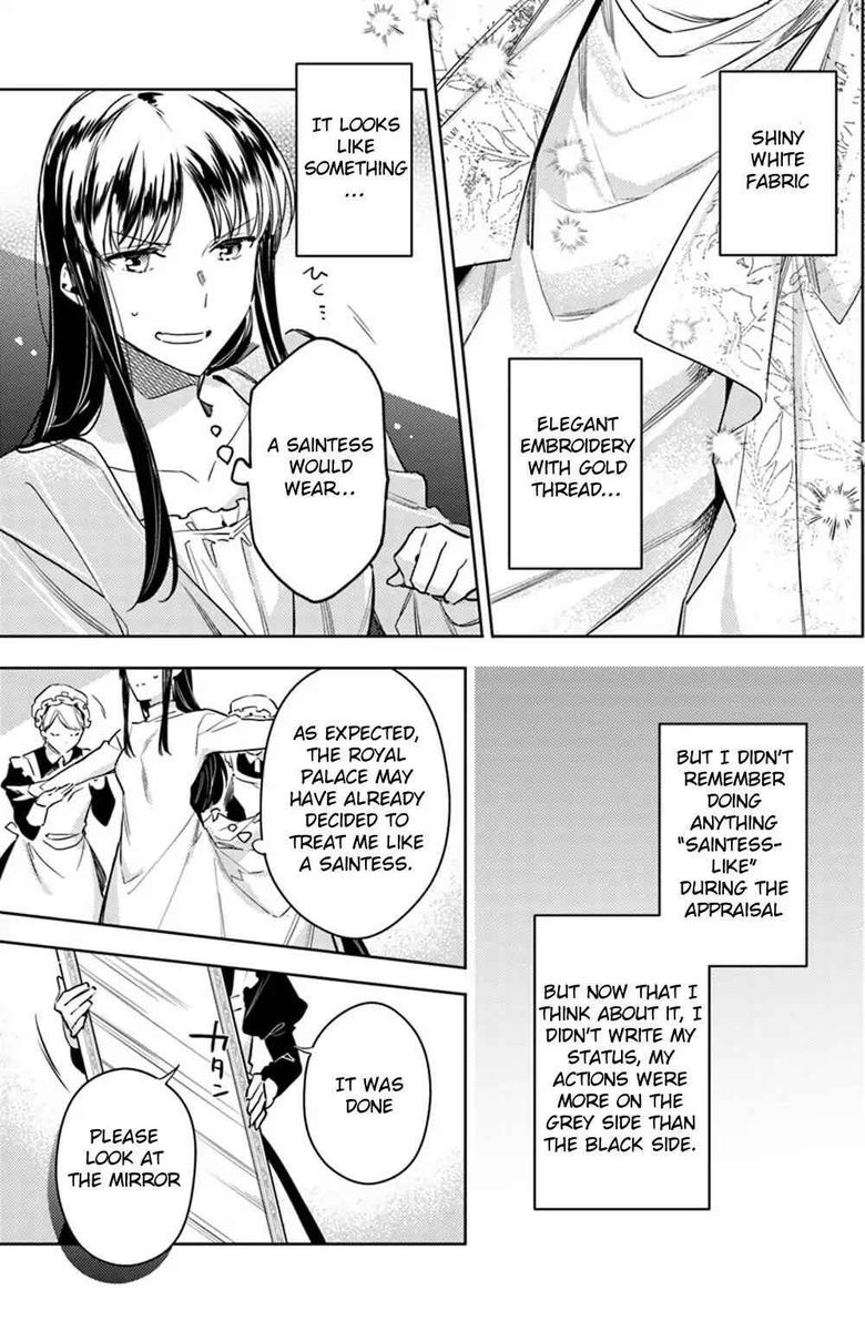 Seijo No Maryoku Wa Bannou Desu 11 11