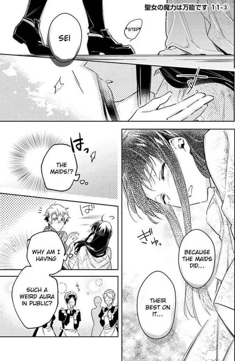 Seijo No Maryoku Wa Bannou Desu 11 17