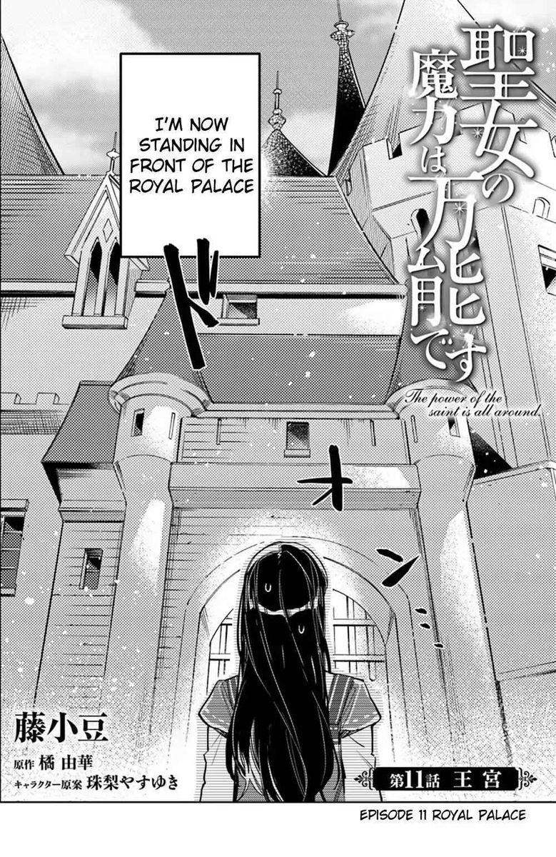 Seijo No Maryoku Wa Bannou Desu 11 2