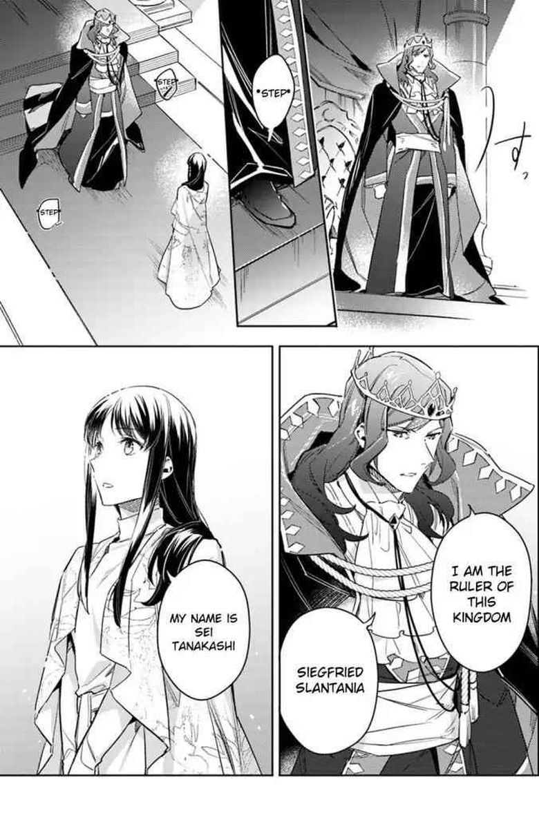 Seijo No Maryoku Wa Bannou Desu 11 21
