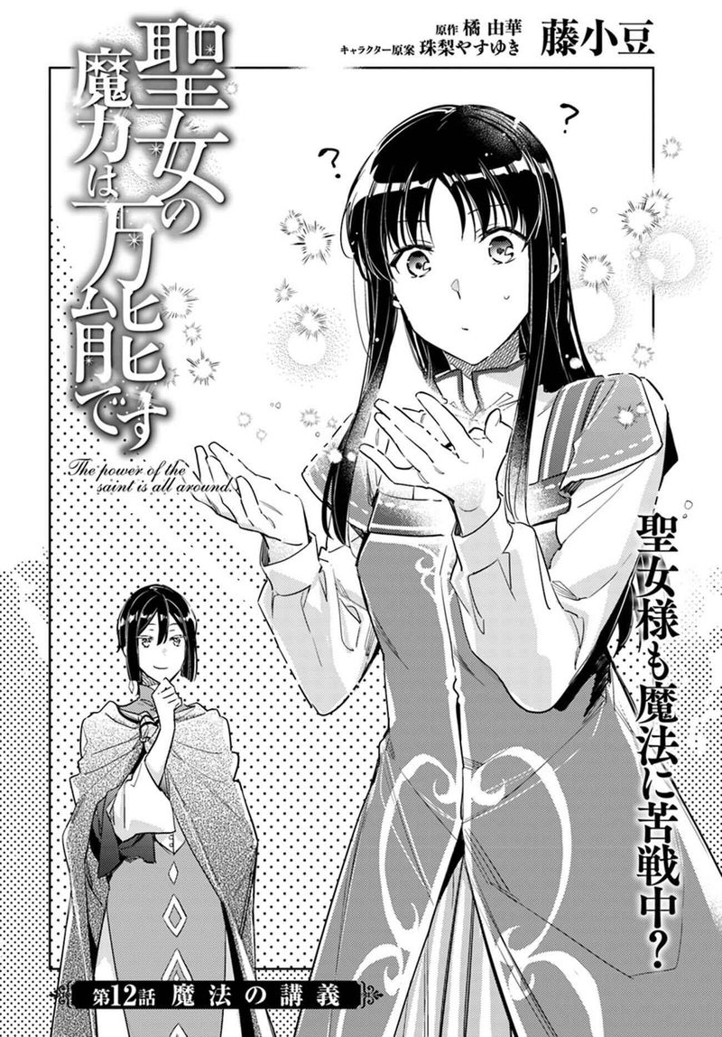 Seijo No Maryoku Wa Bannou Desu 12 2