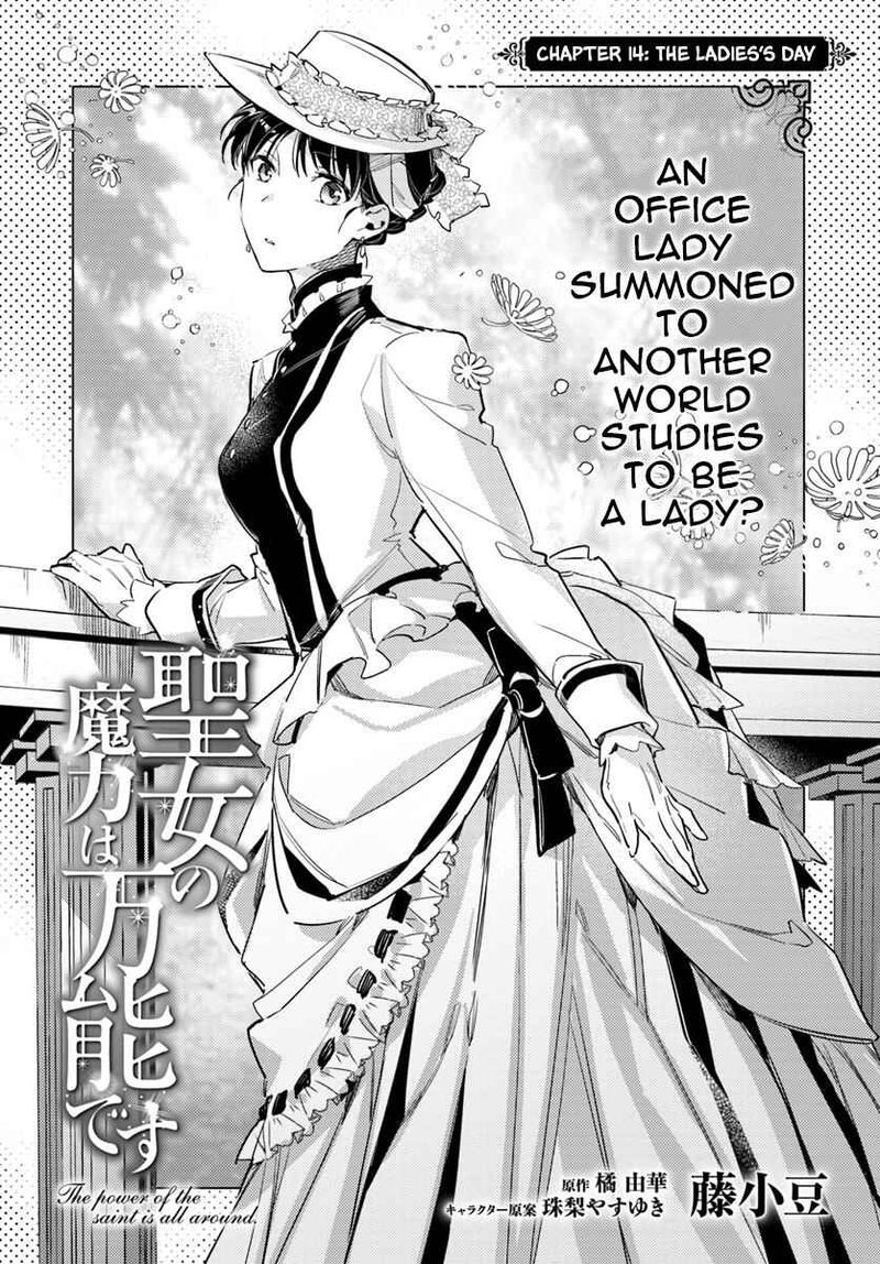 Seijo No Maryoku Wa Bannou Desu 14 2