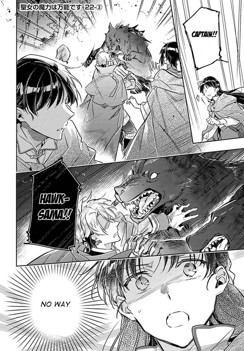 Seijo No Maryoku Wa Bannou Desu 22 14
