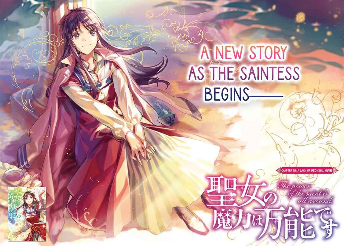 Seijo No Maryoku Wa Bannou Desu 25 2