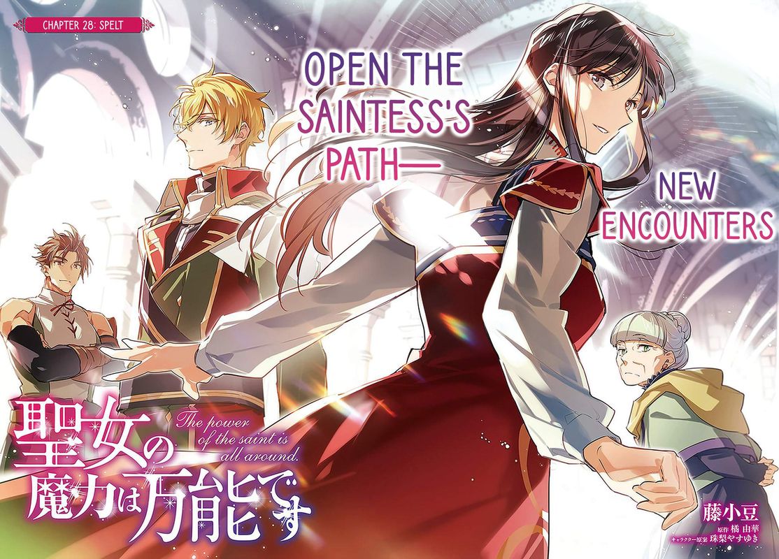 Seijo No Maryoku Wa Bannou Desu 28 2
