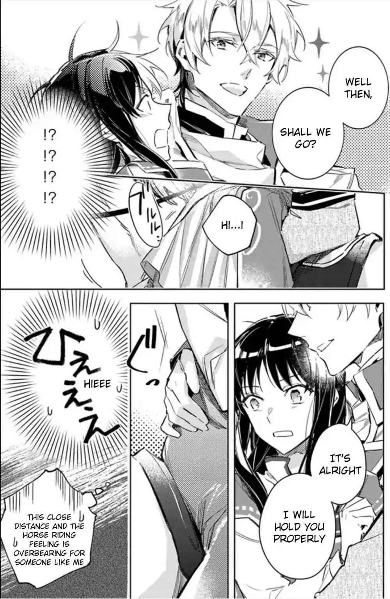Seijo No Maryoku Wa Bannou Desu 4 17