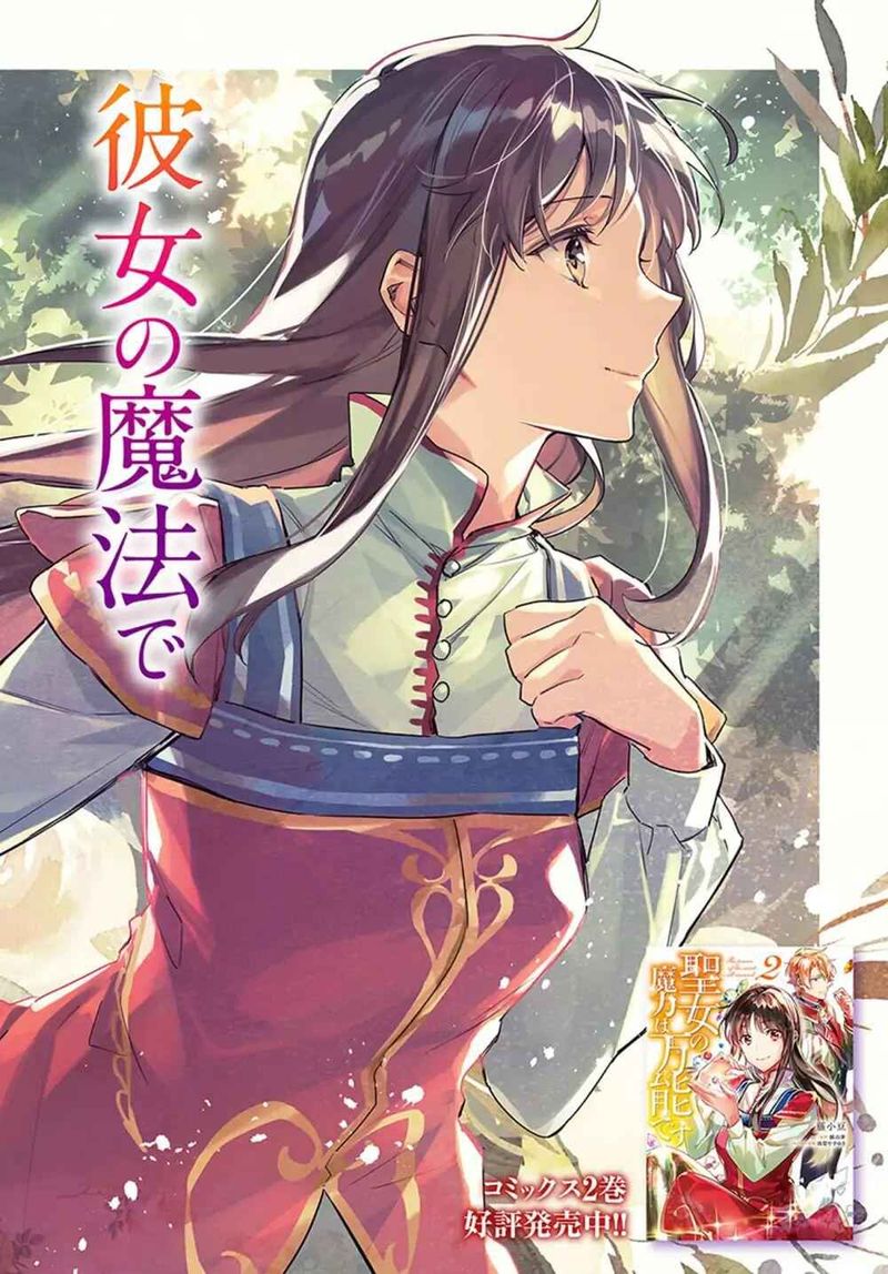 Seijo No Maryoku Wa Bannou Desu 9 2