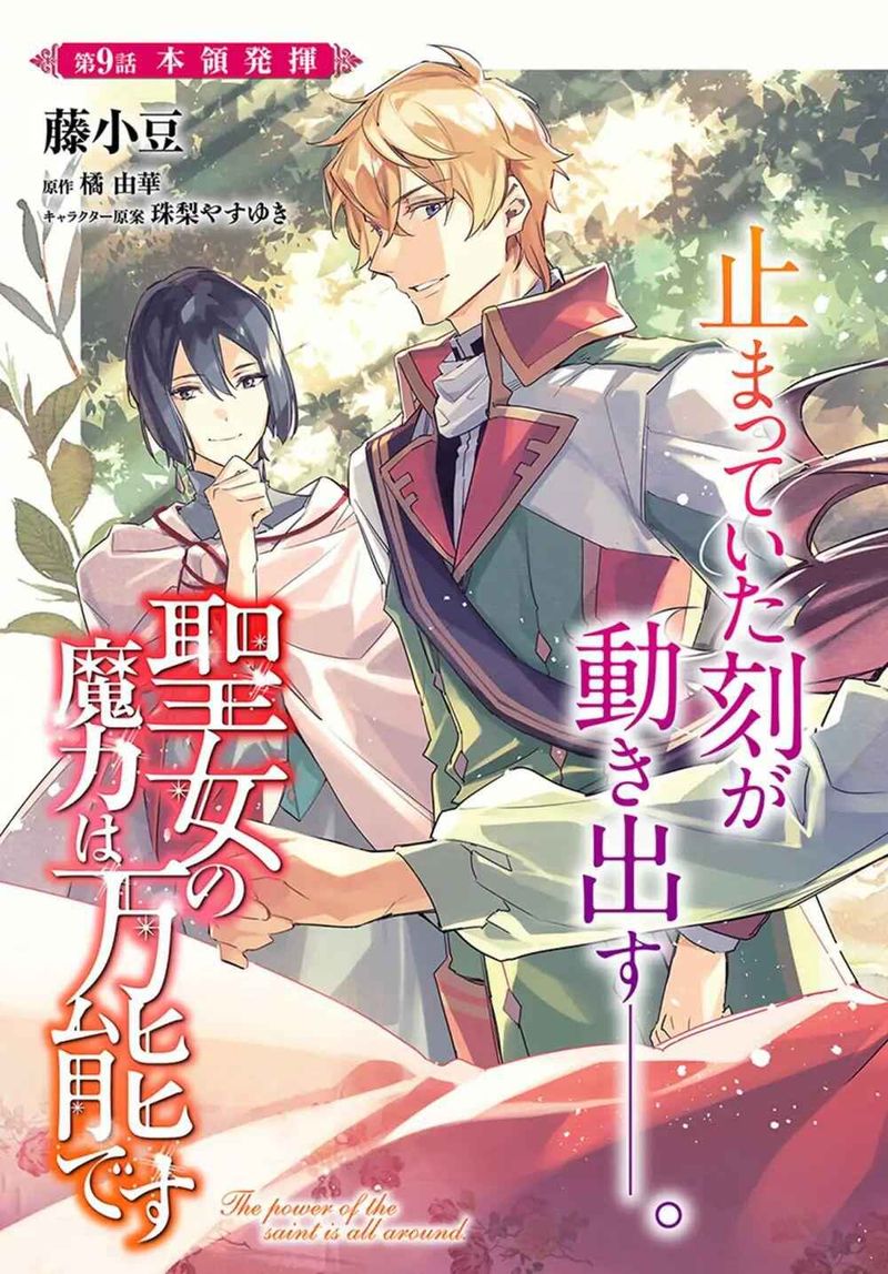 Seijo No Maryoku Wa Bannou Desu 9 3