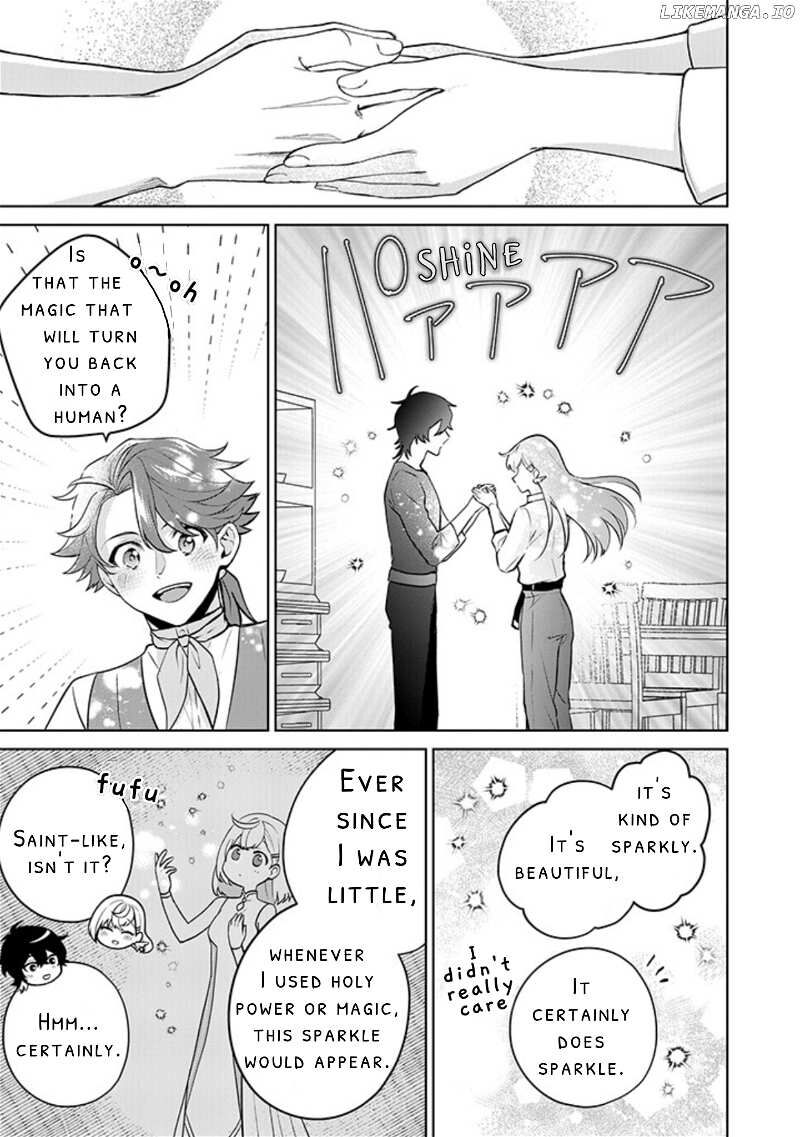 Seishin Seijo Konyaku Hakisareta Tsuihou Seijo Desu Ga Ookami Ouji No Noroi Wo Toite Dekiaisaretemasu Imasara Kuni Ni Modorette Iwarete Mo Osoi Desu 12 7