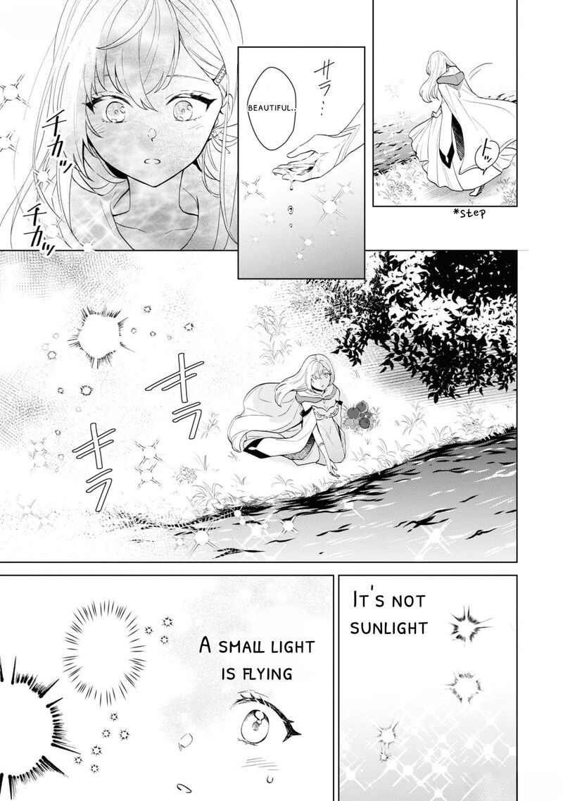 Seishin Seijo Konyaku Hakisareta Tsuihou Seijo Desu Ga Ookami Ouji No Noroi Wo Toite Dekiaisaretemasu Imasara Kuni Ni Modorette Iwarete Mo Osoi Desu 2 17