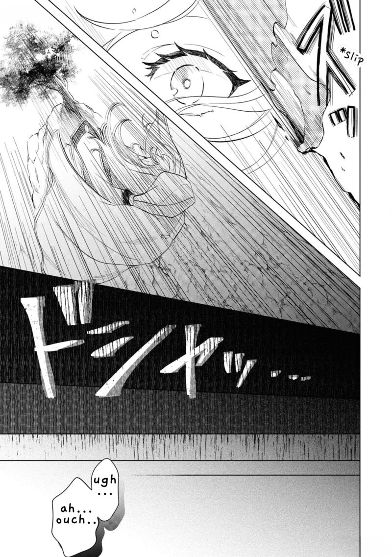 Seishin Seijo Konyaku Hakisareta Tsuihou Seijo Desu Ga Ookami Ouji No Noroi Wo Toite Dekiaisaretemasu Imasara Kuni Ni Modorette Iwarete Mo Osoi Desu 2 22