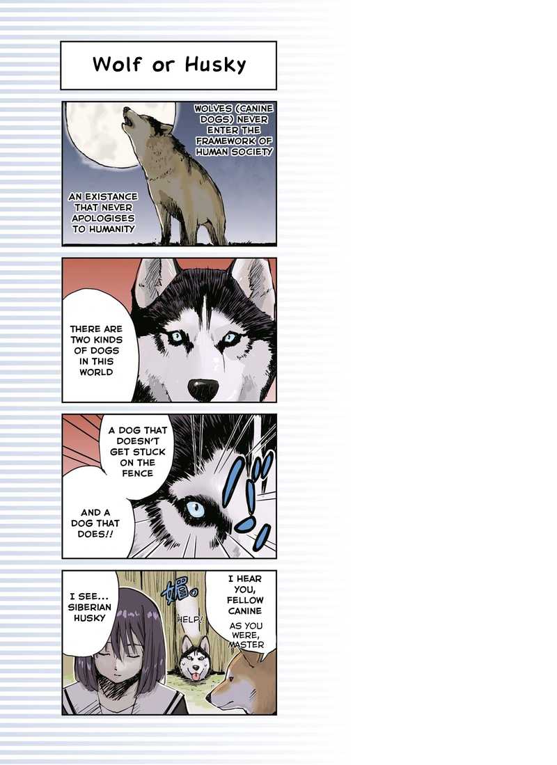 Sekai No Owari Ni Shiba Inu To 11 7