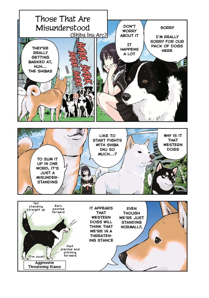 Sekai No Owari Ni Shiba Inu To 22 8