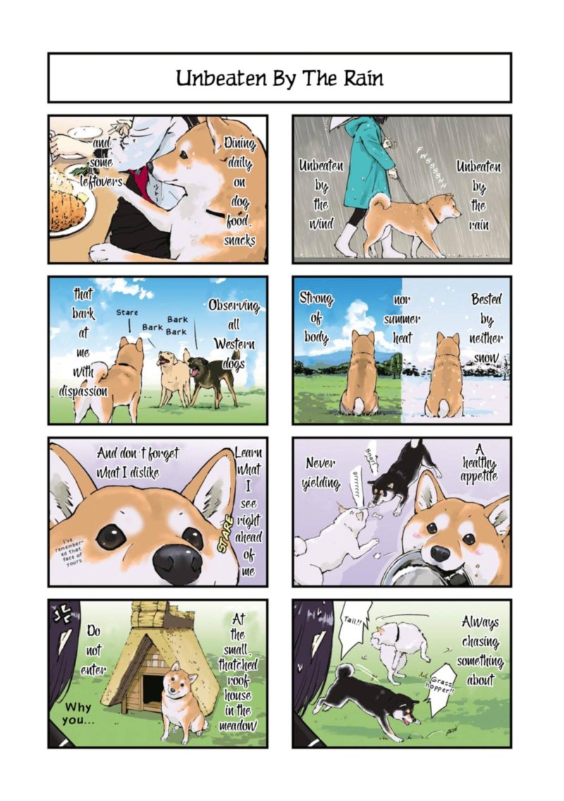 Sekai No Owari Ni Shiba Inu To 32 9