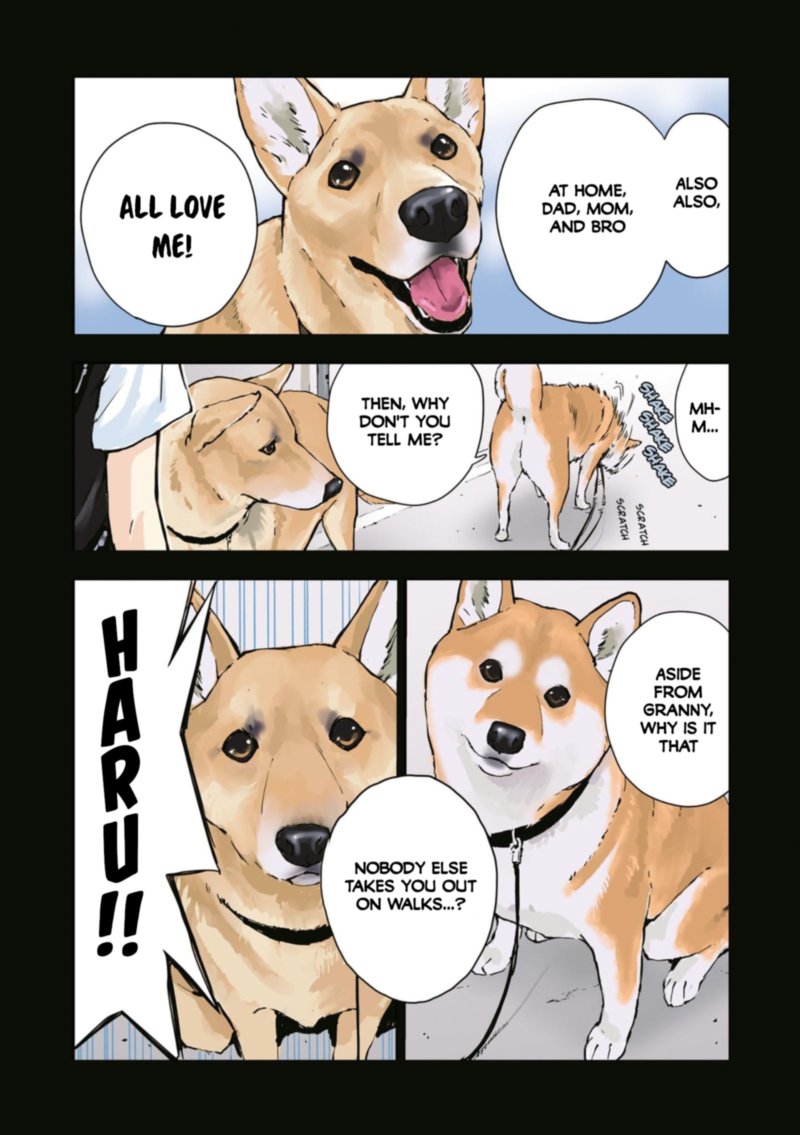 Sekai No Owari Ni Shiba Inu To 35 23