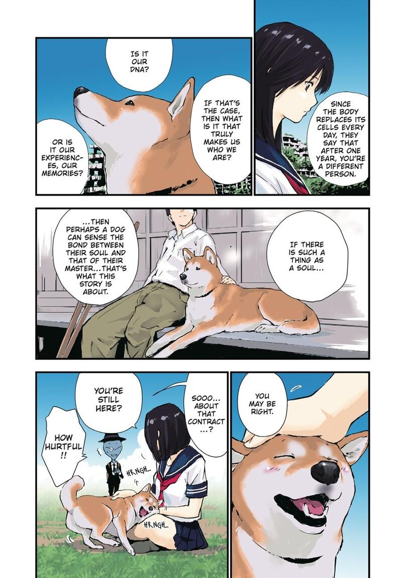 Sekai No Owari Ni Shiba Inu To 38 8