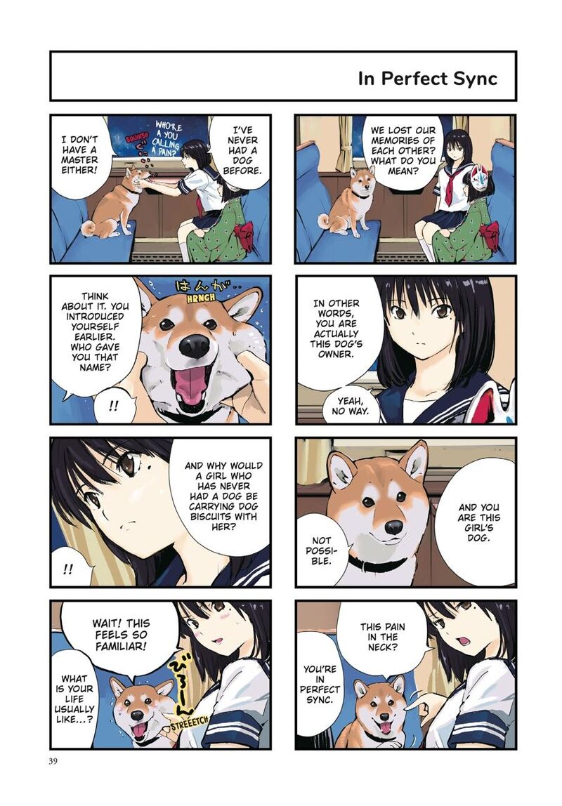 Sekai No Owari Ni Shiba Inu To 39 5