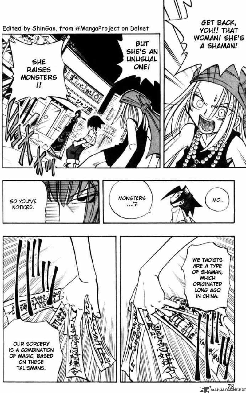 Shaman King 12 13