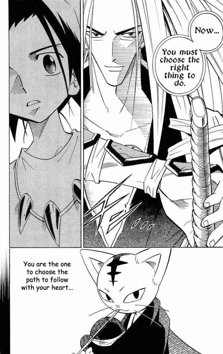 Shaman King 209 14