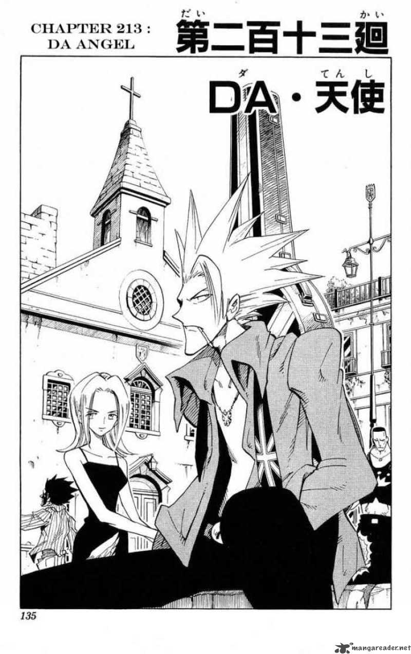 Shaman King 213 3