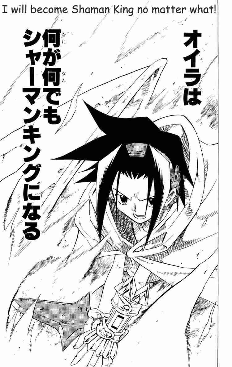 Shaman King 216 8