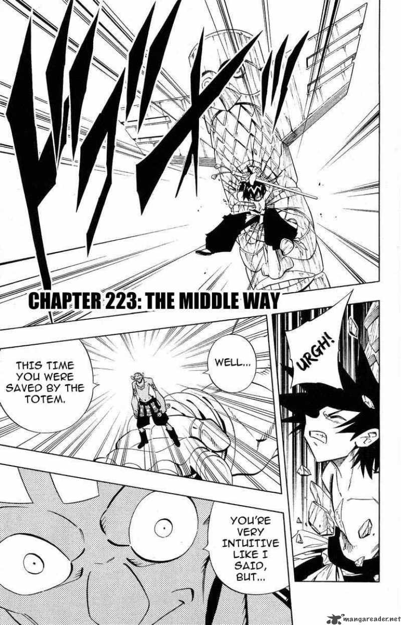 Shaman King 223 1