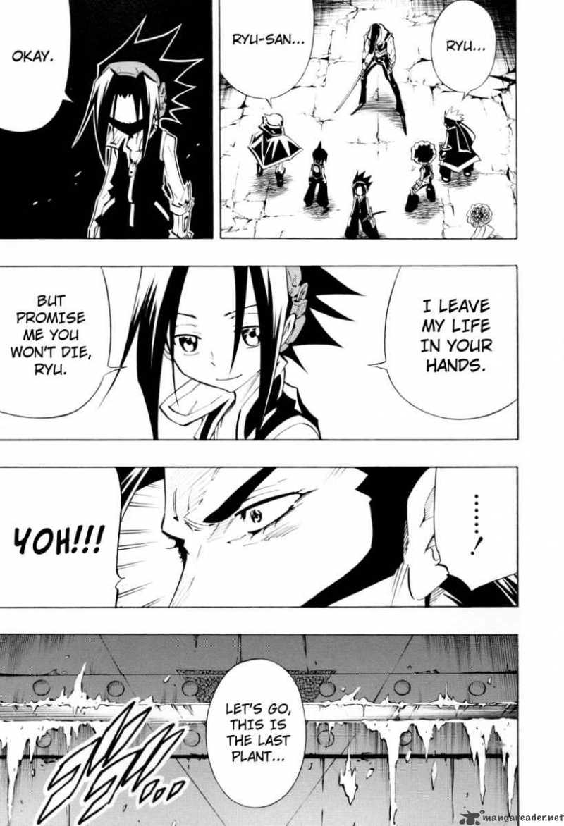 Shaman King 295 14