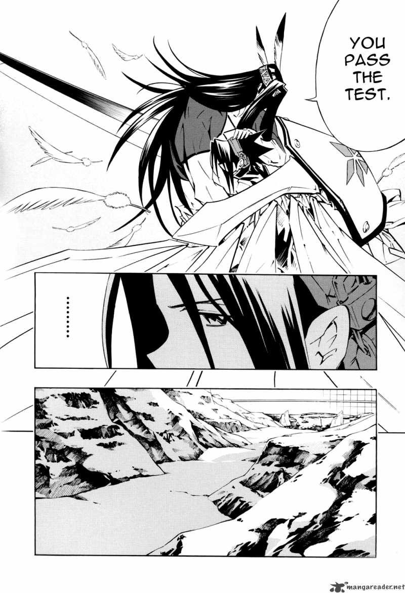 Shaman King 295 3