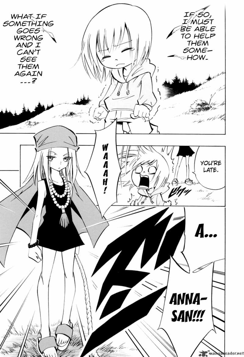 Shaman King 295 8