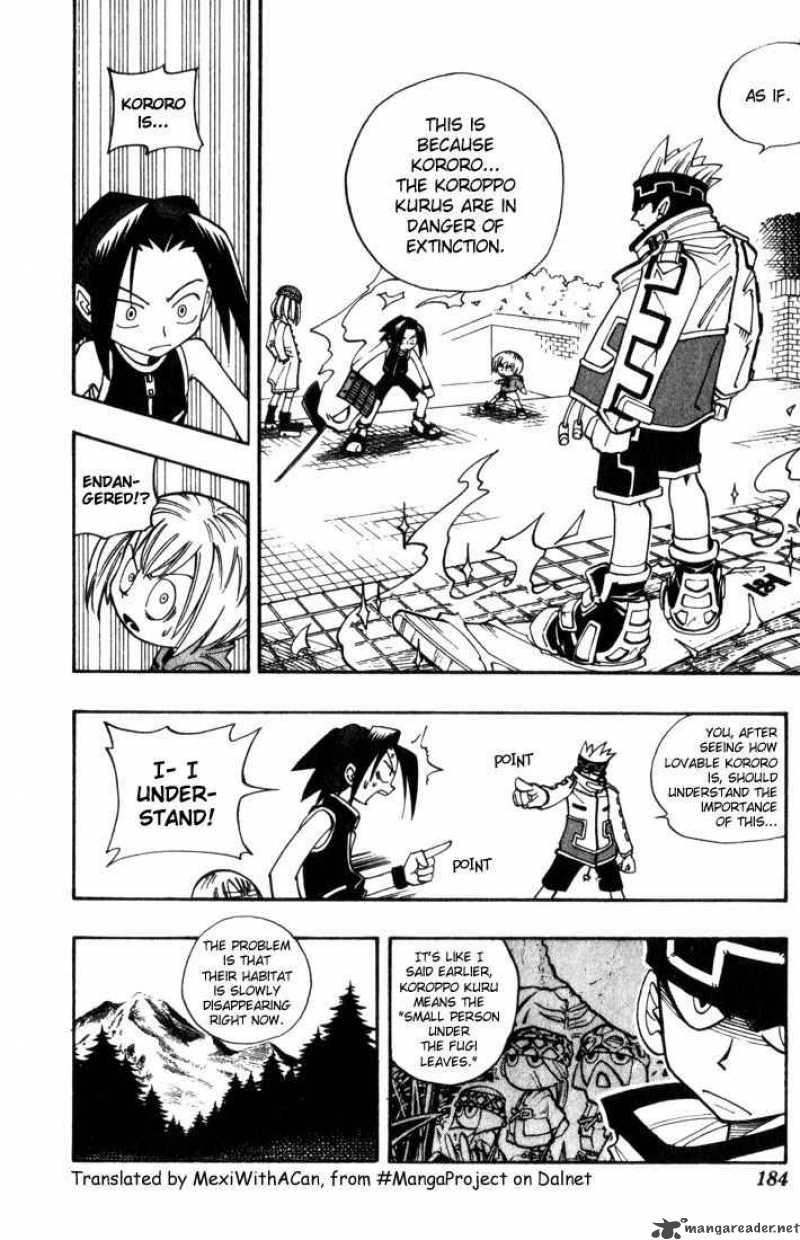 Shaman King 35 13