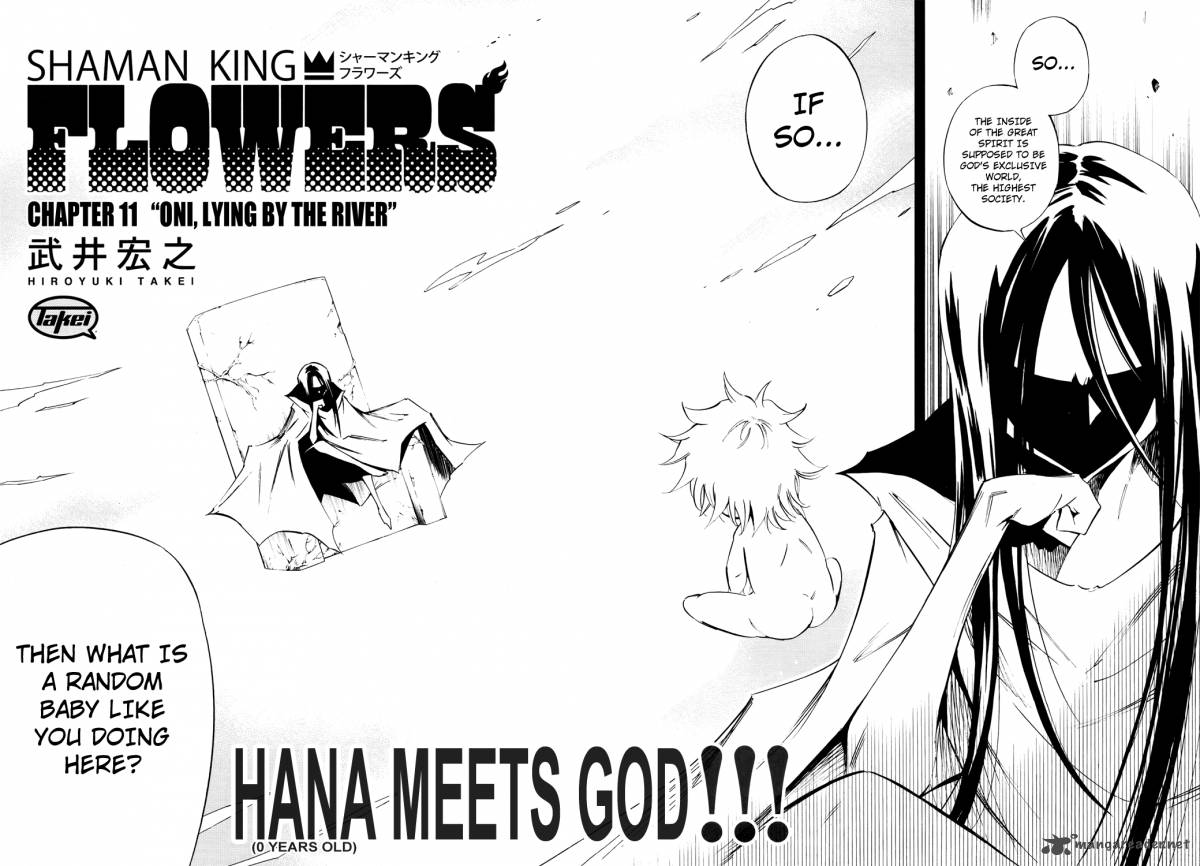 Shaman King Flowers 11 3