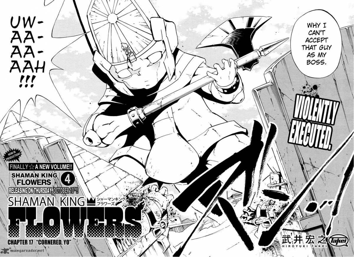 Shaman King Flowers 17 5