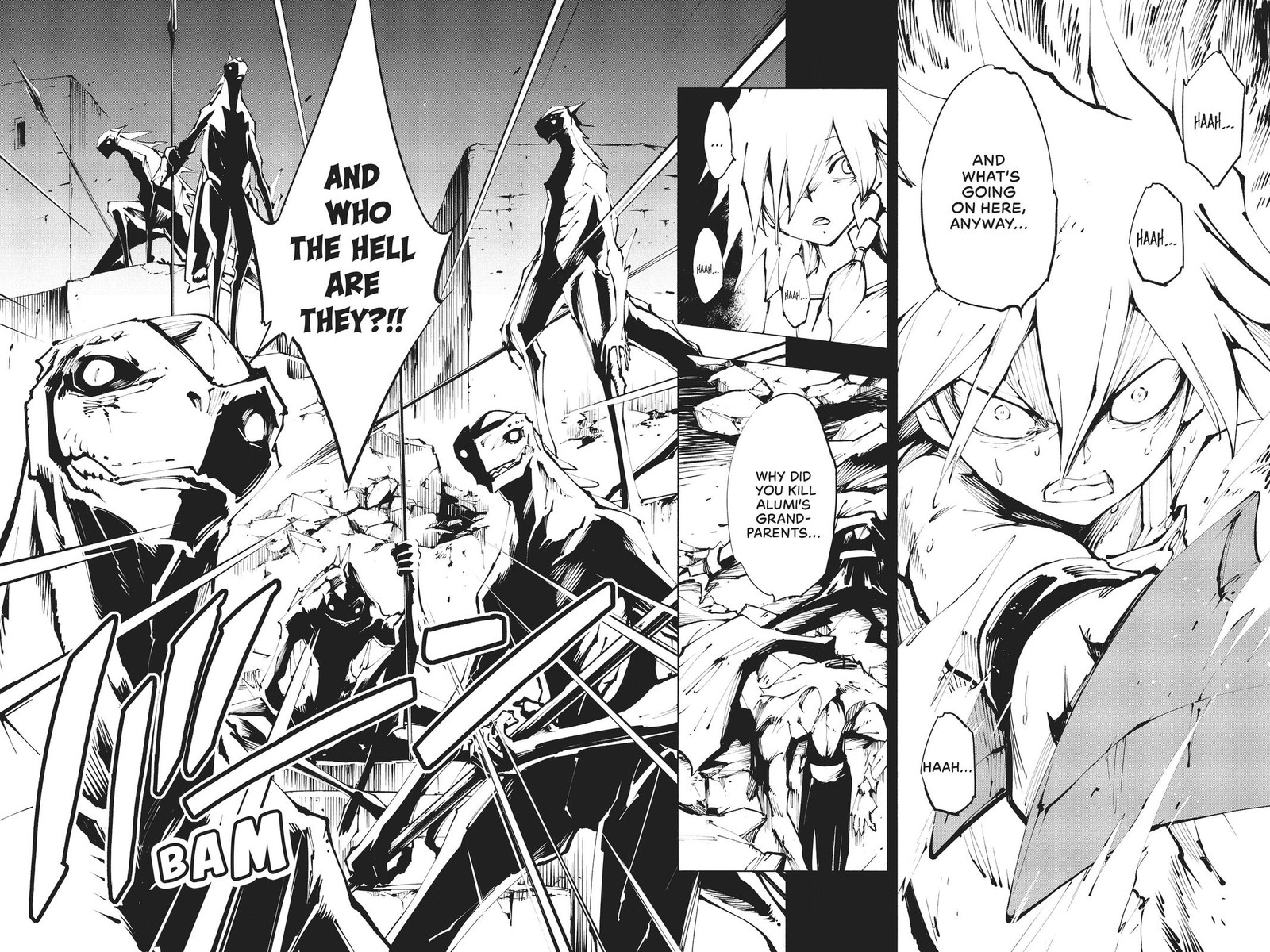 Shaman King The Super Star 29 19