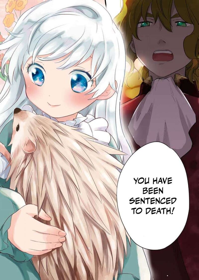 Shi Ni Modori Reijou No Kari Hajime Kekkon 1 5