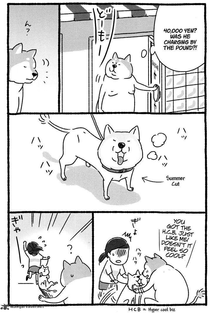 Shiba Occhan 10 8