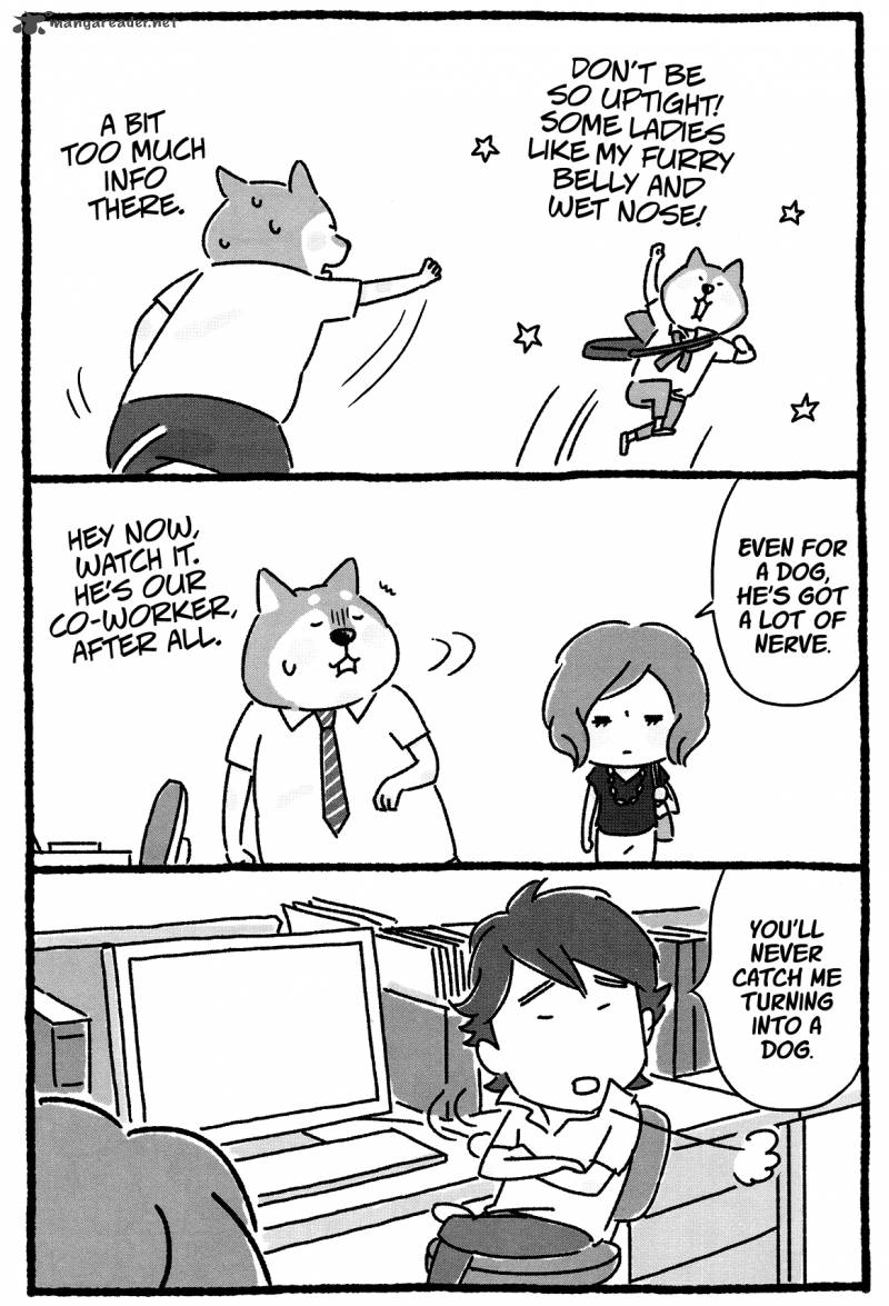 Shiba Occhan 13 2