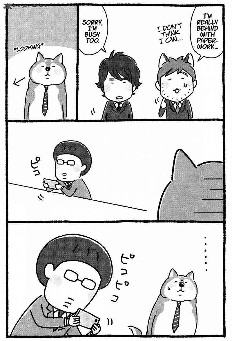 Shiba Occhan 16 4