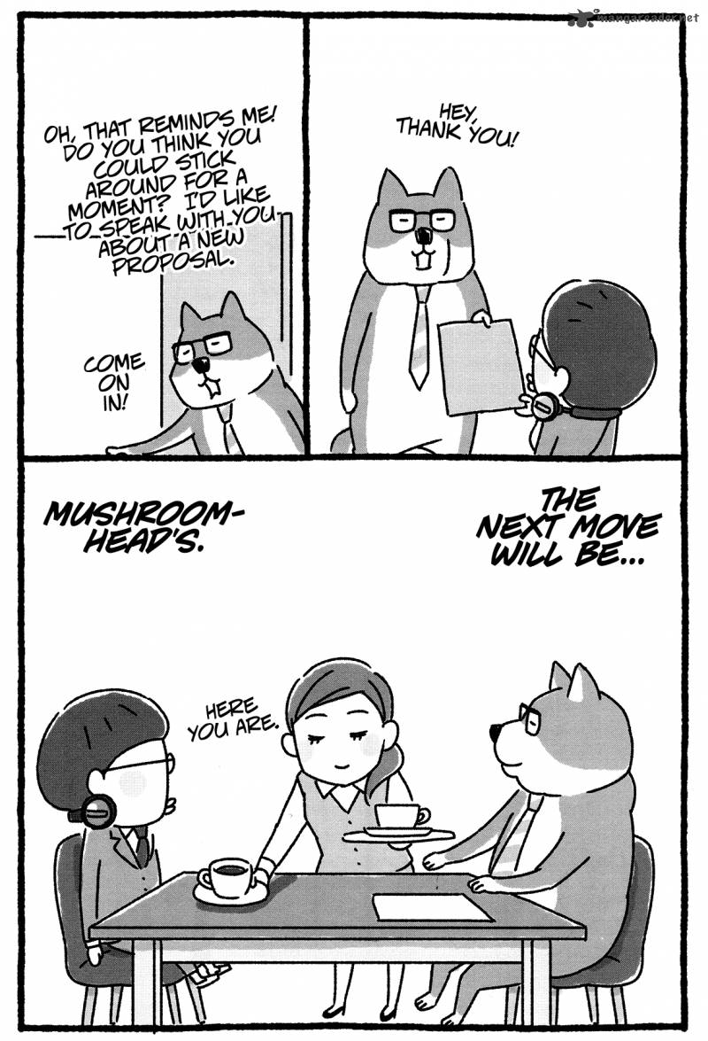 Shiba Occhan 16 8