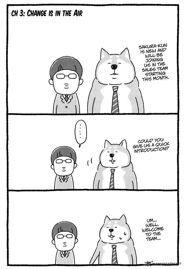 Shiba Occhan 3 1