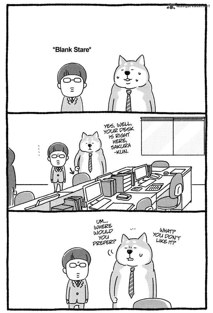 Shiba Occhan 3 3