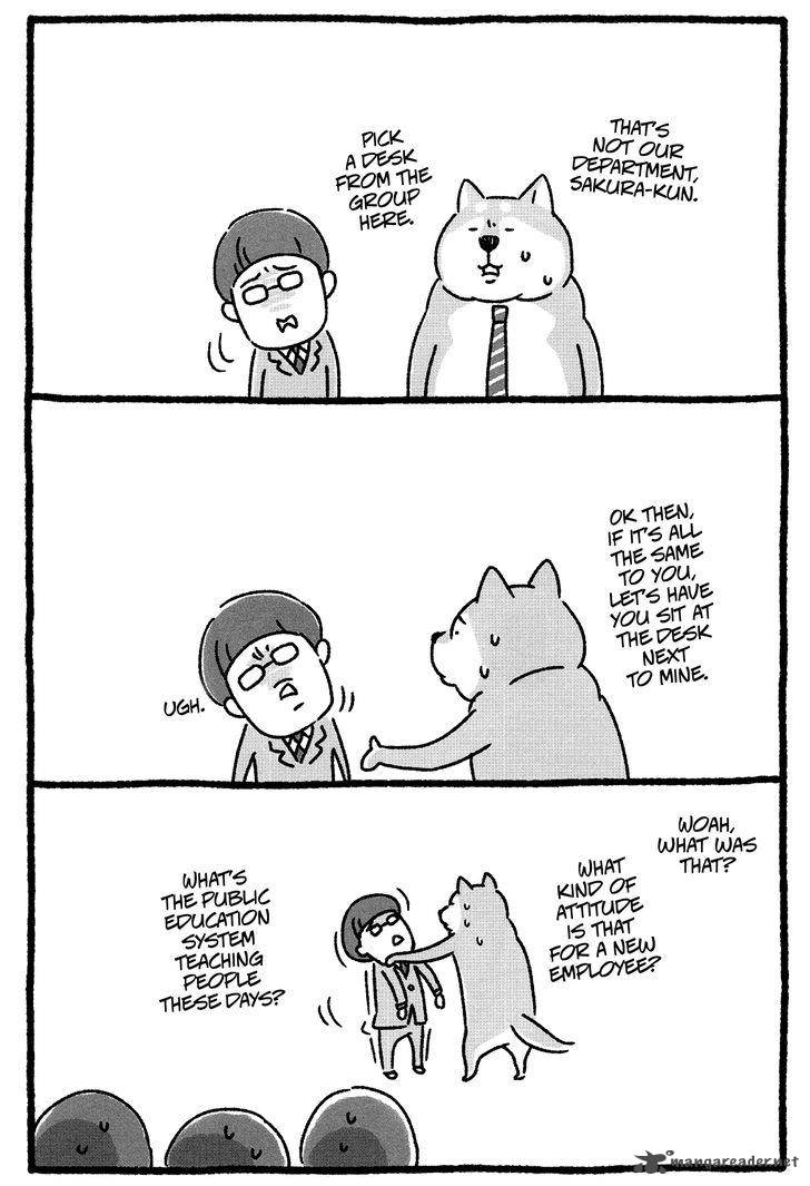 Shiba Occhan 3 5