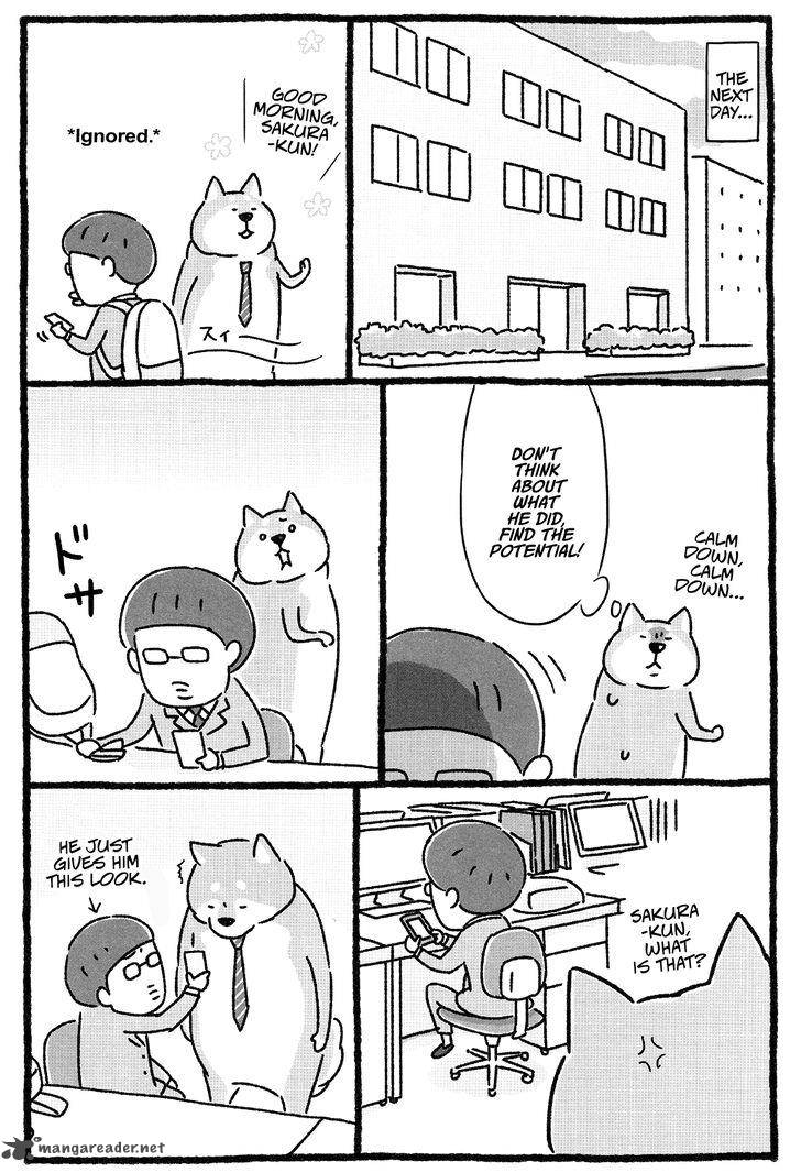 Shiba Occhan 4 6