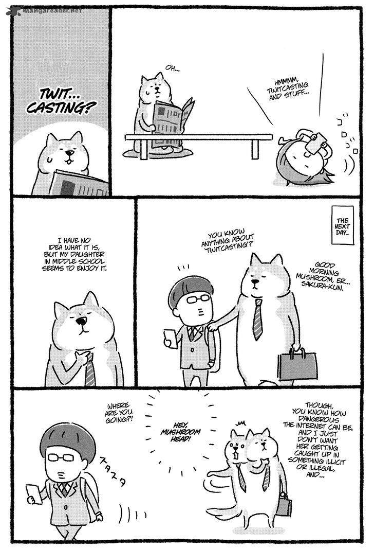 Shiba Occhan 5 2