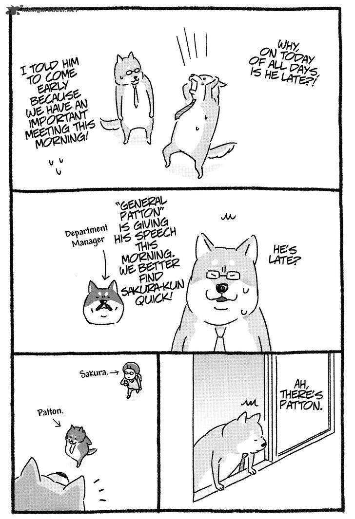 Shiba Occhan 9 2